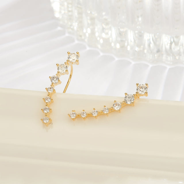 Luxurious Sparkling Zircon Silver Stud Earrings