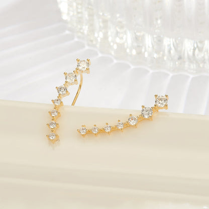 Luxurious Sparkling Zircon Silver Stud Earrings