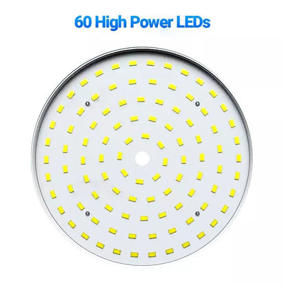 Portable Outdoor LED Lights