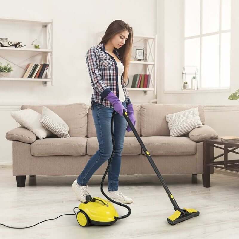 Portable Heavy Duty Steam Cleaner for Home and Car