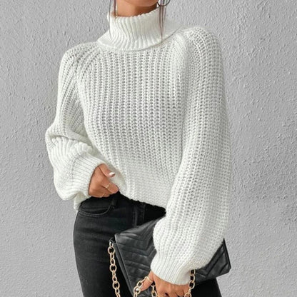 High Neck Winter Sweater