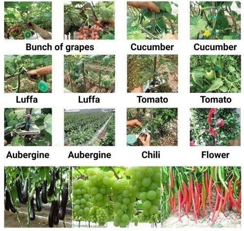 Elastic Plant Ties