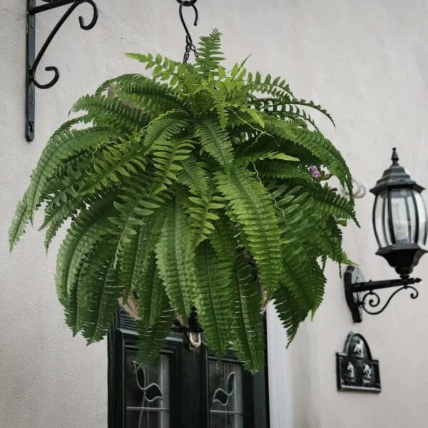 Outdoor Durable Fake Boston Fern Plant