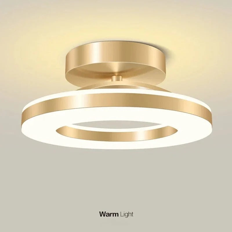 Bright LED Ceiling Mount Lamp