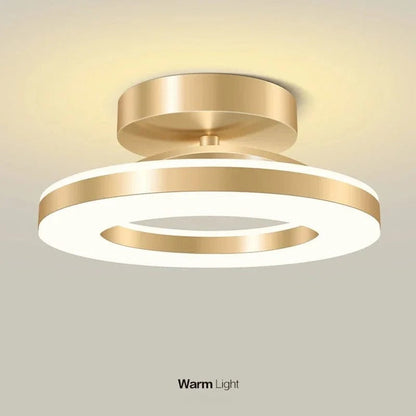 Bright LED Ceiling Mount Lamp