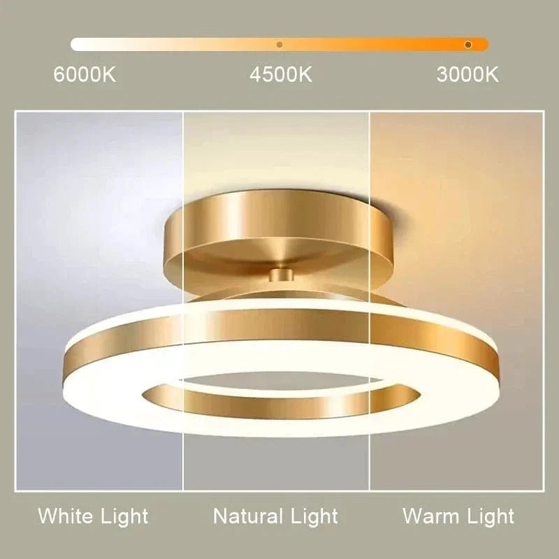 Bright LED Ceiling Mount Lamp