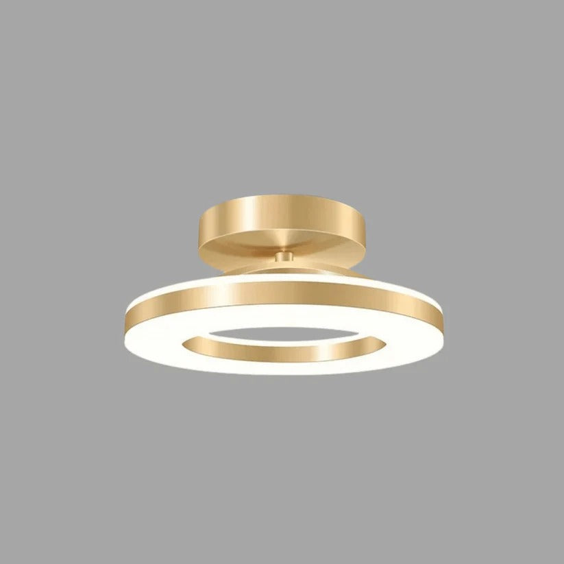 Bright LED Ceiling Mount Lamp