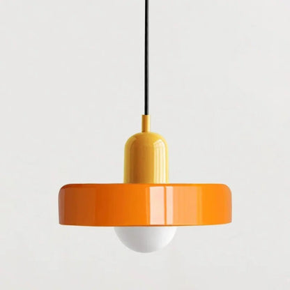 Stylish Drop Ceiling Lamp