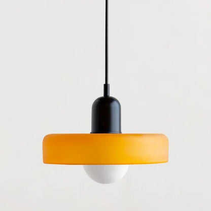 Stylish Drop Ceiling Lamp