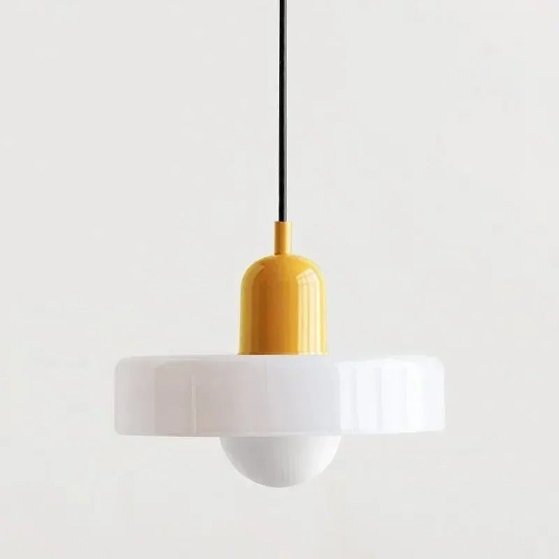 Stylish Drop Ceiling Lamp