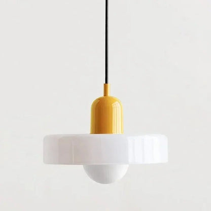 Stylish Drop Ceiling Lamp