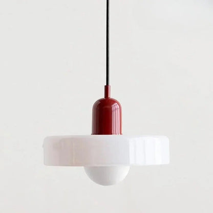 Stylish Drop Ceiling Lamp