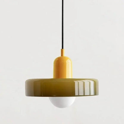 Stylish Drop Ceiling Lamp