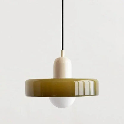 Stylish Drop Ceiling Lamp