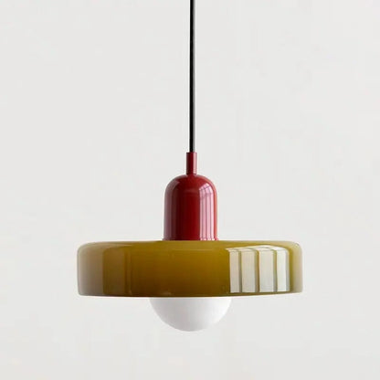 Stylish Drop Ceiling Lamp