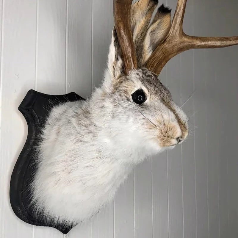 Mythical Animal Wooden Wall Art