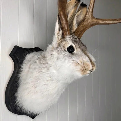 Mythical Animal Wooden Wall Art