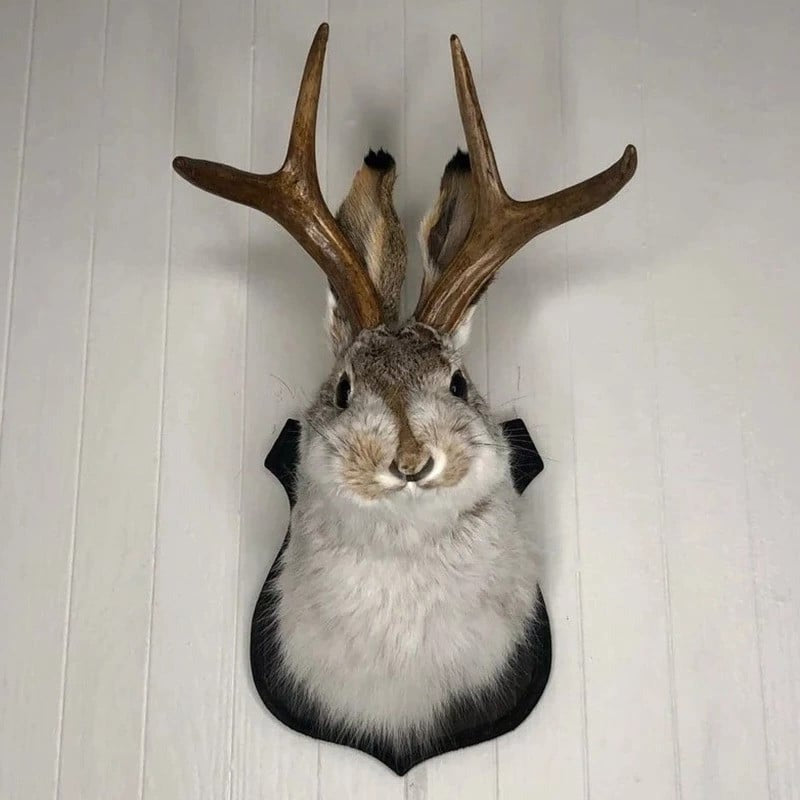 Mythical Animal Wooden Wall Art - Halri