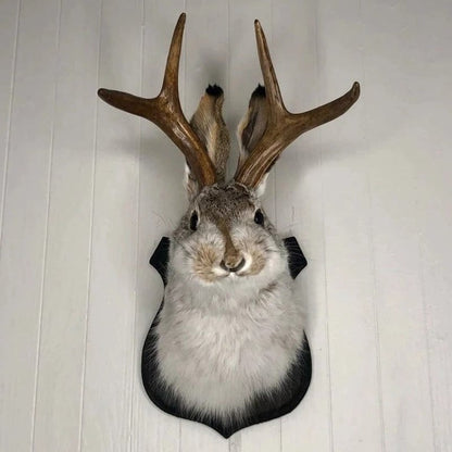 Mythical Animal Wooden Wall Art - Halri