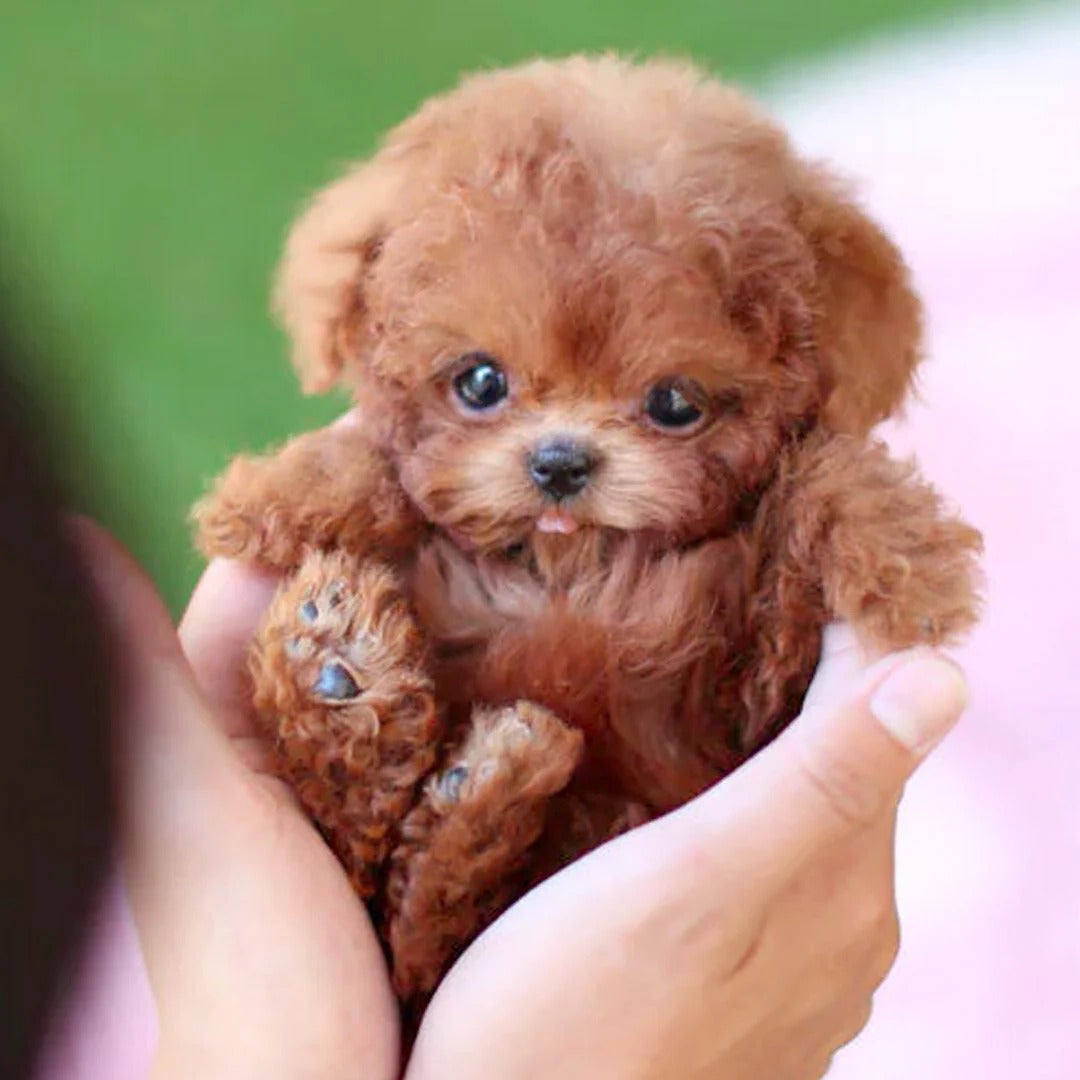 Cute Electronic Puppy Toy Interactive Pet Dog
