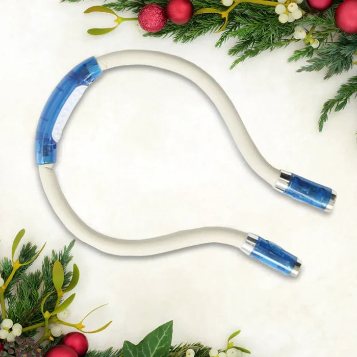 Clip On Book Light