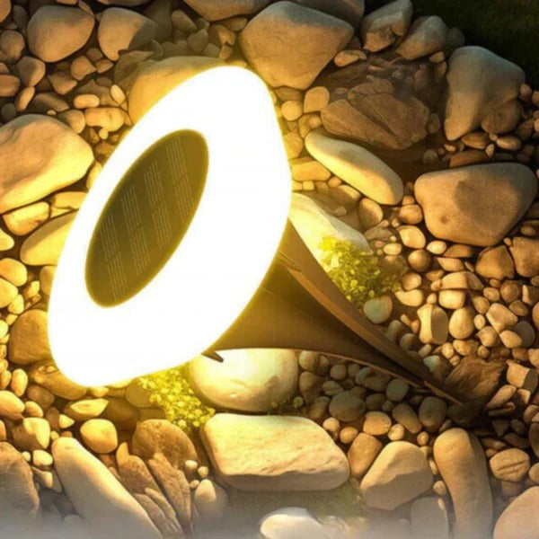 Durable Weatherproof Solar Garden Lights