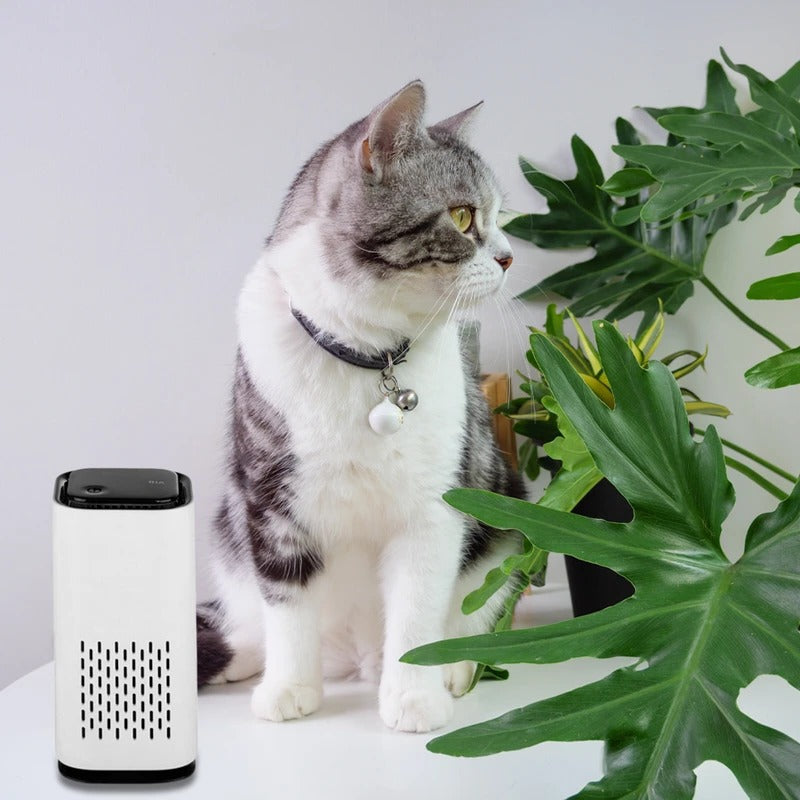 Compact Animal Air Cleaner