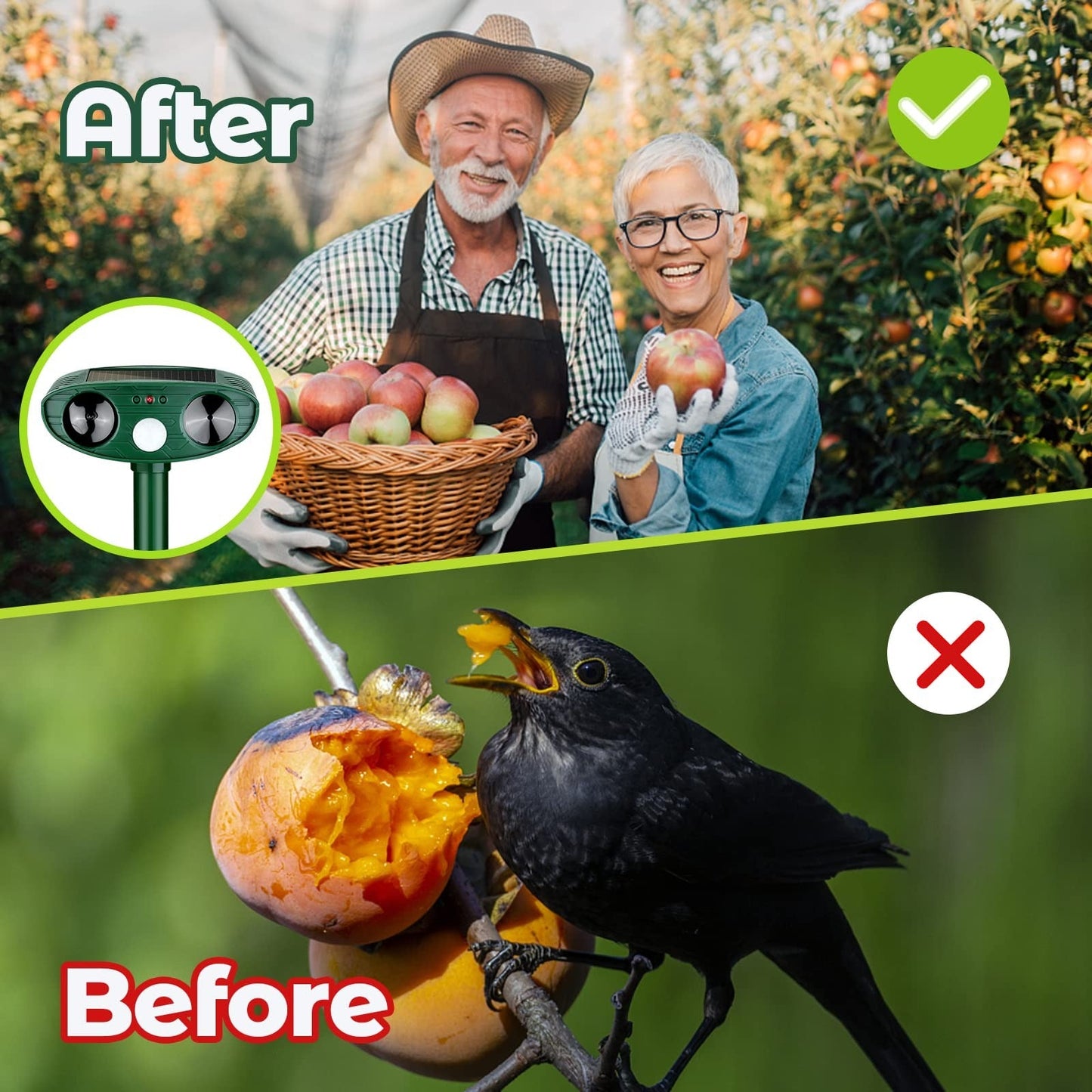 Effective Bird Repellent Device