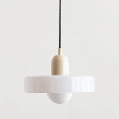 Stylish Drop Ceiling Lamp