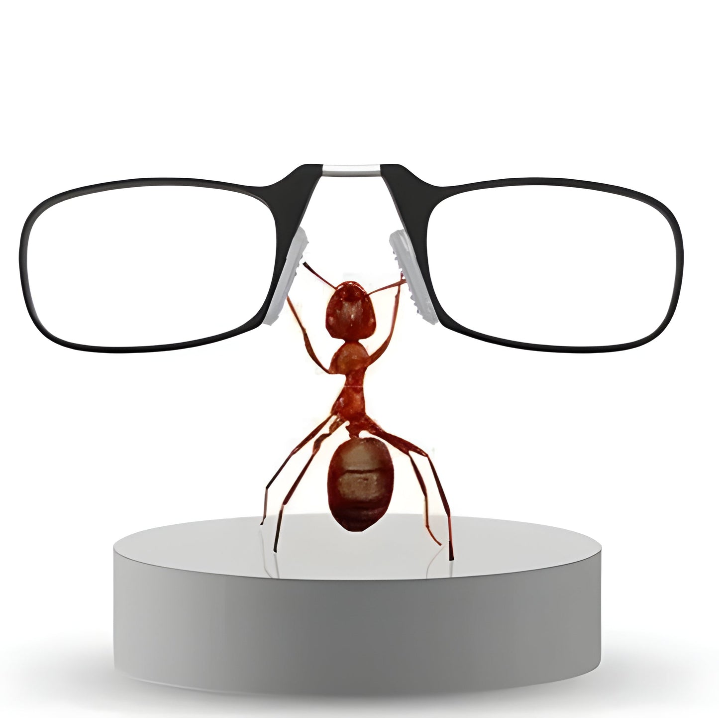 Compact Travel Reading Glasses