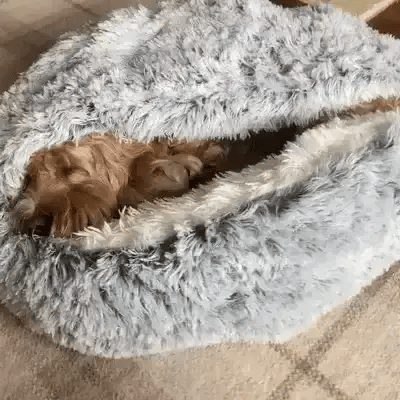 Cozy Hideaway Pet Dog Bed