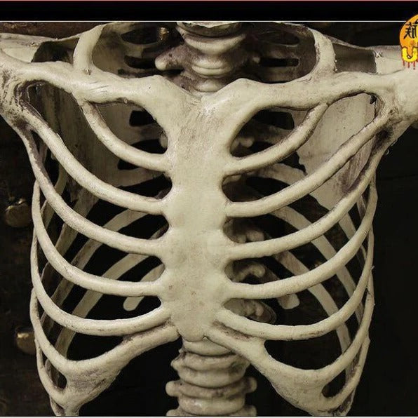 Giant Halloween Skeleton Prop