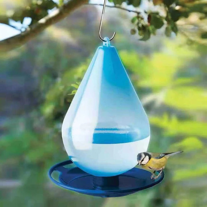 Colorful Bird Rain Water Feeder - Halri