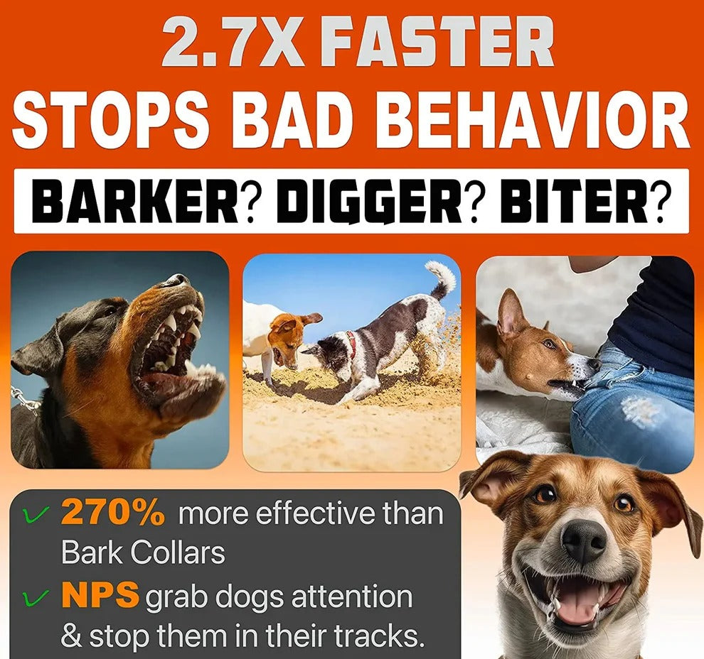 Effective Dog Training Device for Good Behavior