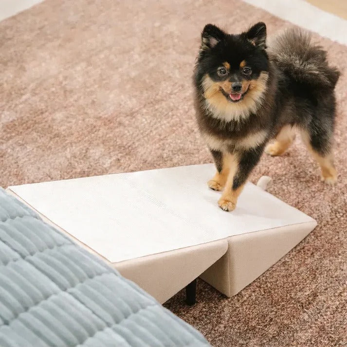 Pet Folding Ramp and Step Stool Combo