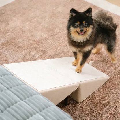 Pet Folding Ramp and Step Stool Combo