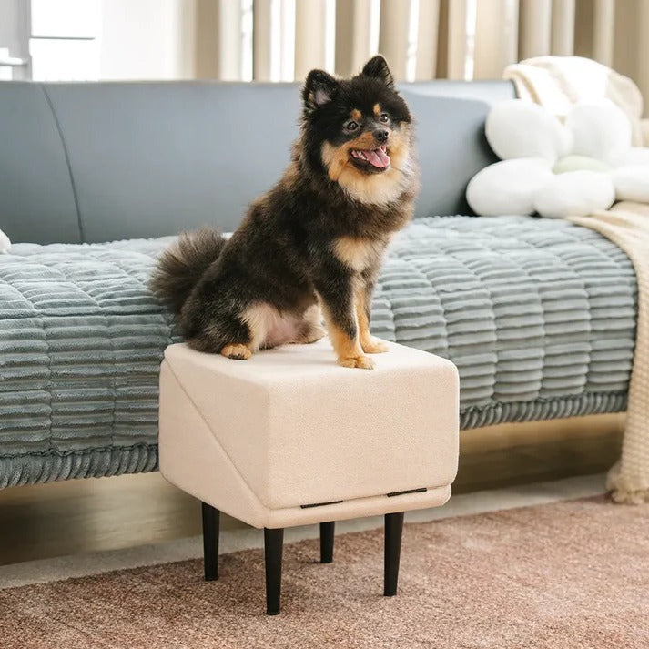 Pet Folding Ramp and Step Stool Combo