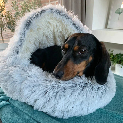 Cozy Hideaway Pet Dog Bed