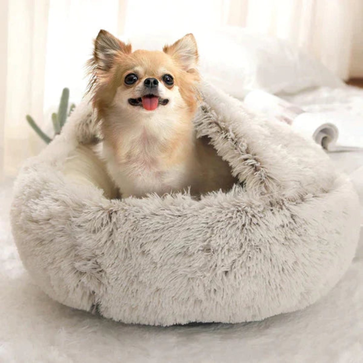Cozy Hideaway Pet Dog Bed