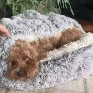 Cozy Hideaway Pet Dog Bed