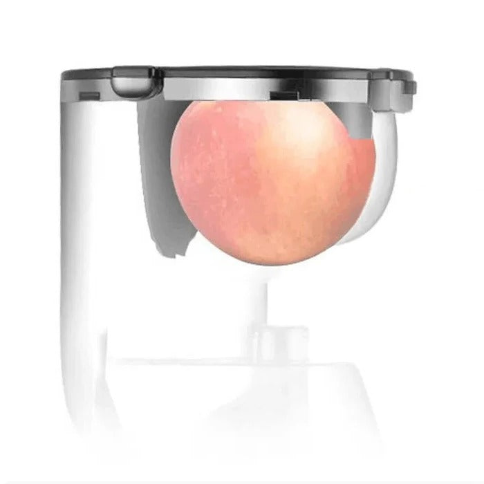 Easy Fruit and Veggie Juice Extractor