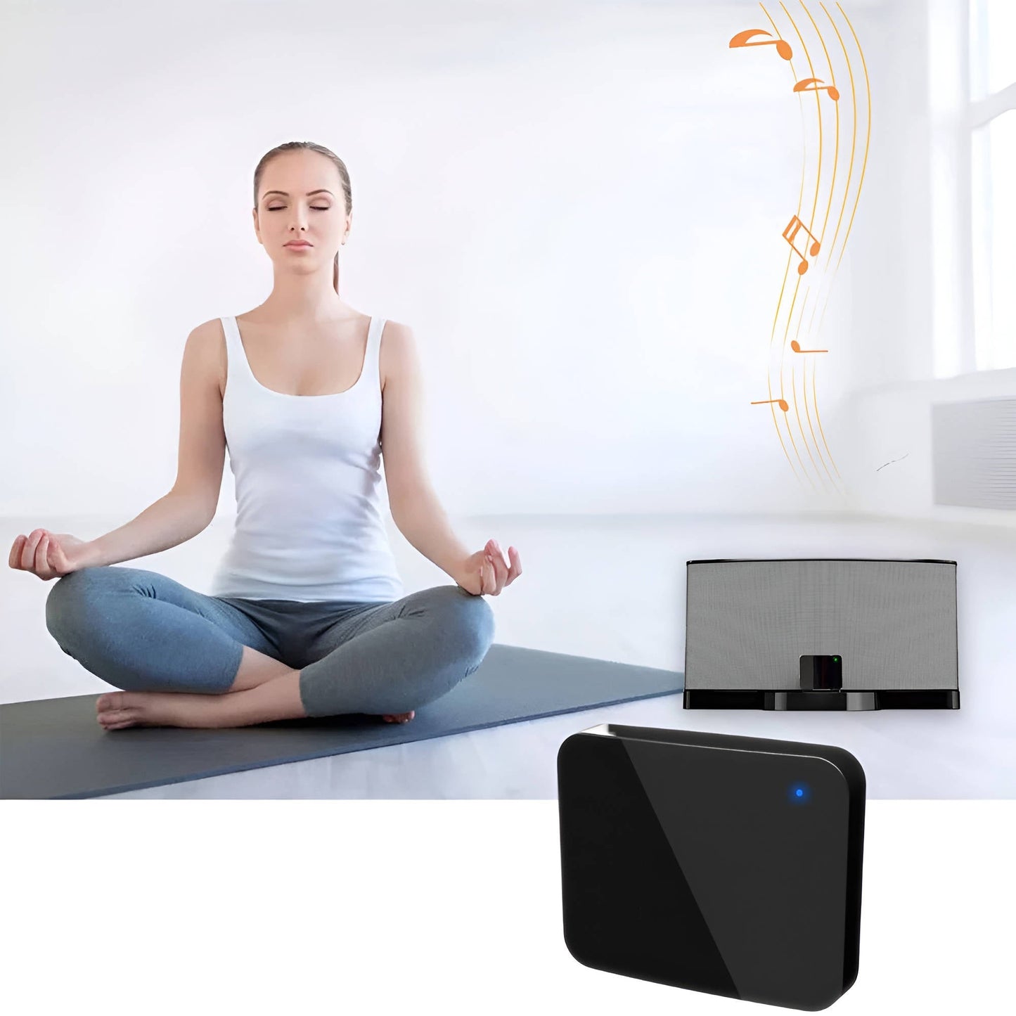 Long Range Wireless Audio Sender Kit - Halri