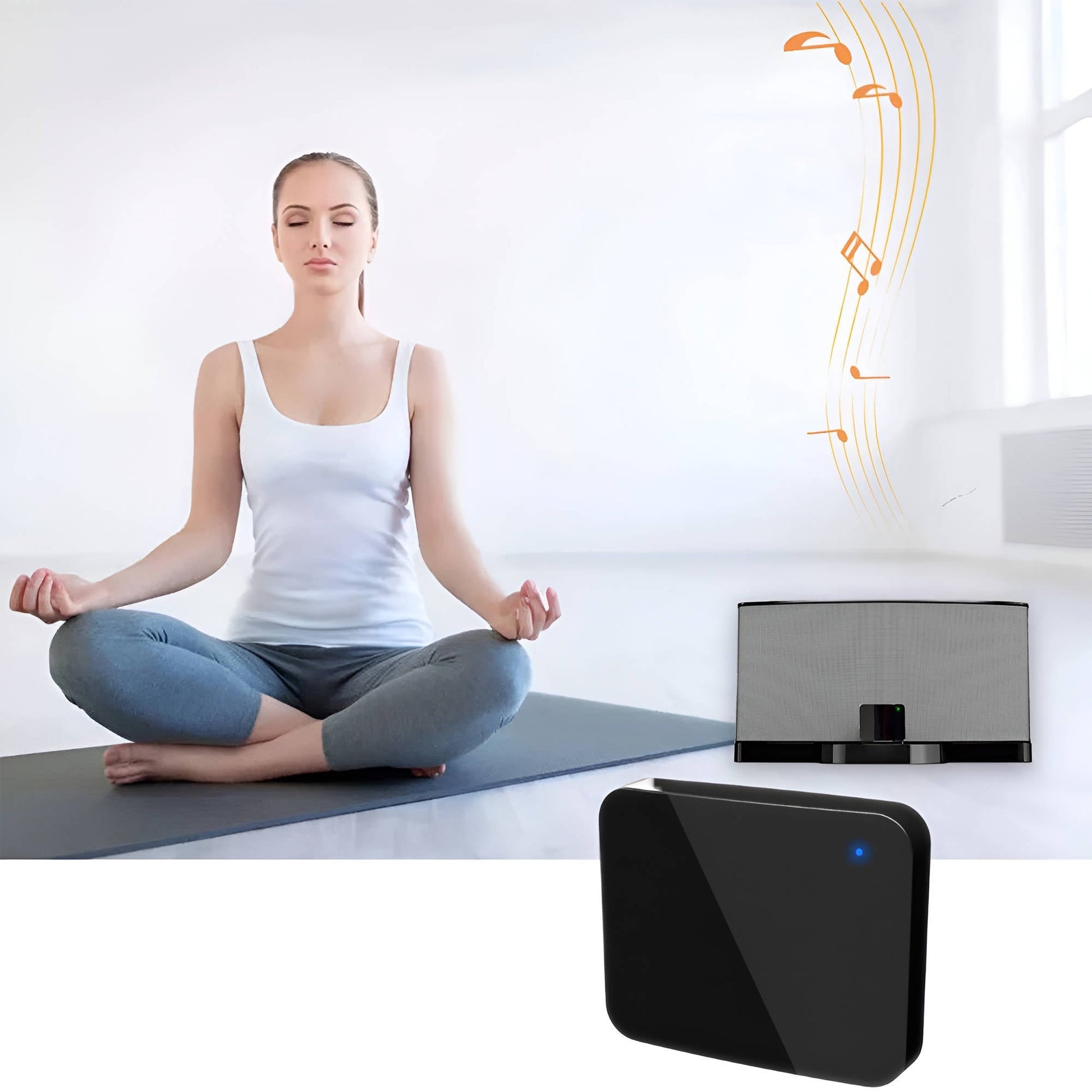 Long Range Wireless Audio Sender Kit - Halri