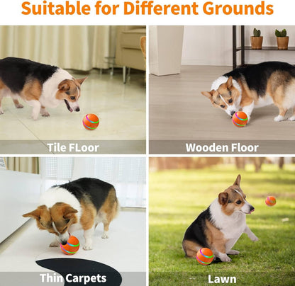 Fun Rubber Dog Play Ball