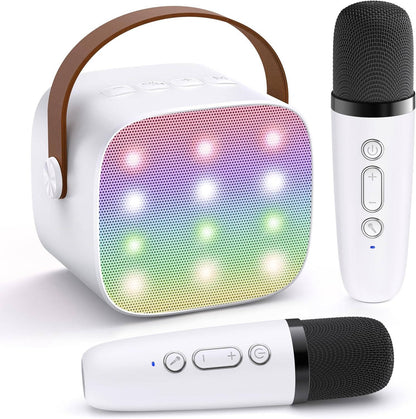 Portable Karaoke System with 2 Microphones