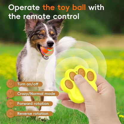 Fun Rubber Dog Play Ball
