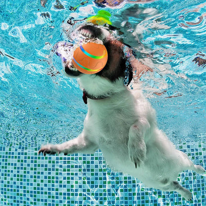 Fun Rubber Dog Play Ball
