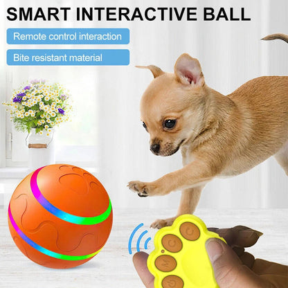 Fun Rubber Dog Play Ball