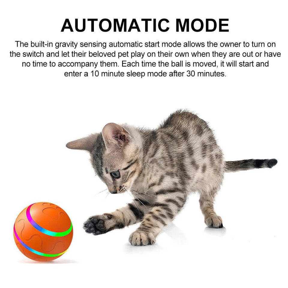 Fun Rubber Dog Play Ball