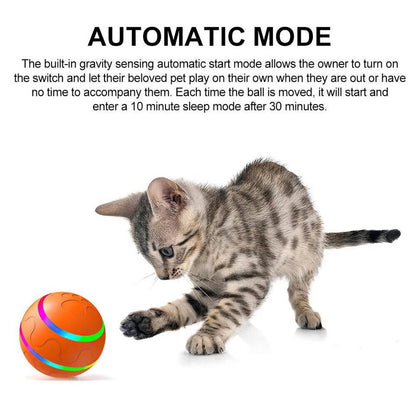 Fun Rubber Dog Play Ball